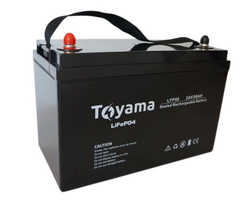 Toyama_LFP_50_24.jpg